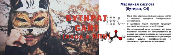 стаф Ельня