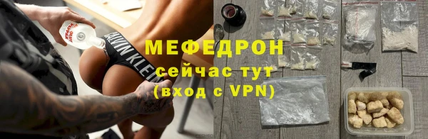 стаф Ельня