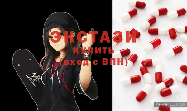 стаф Ельня