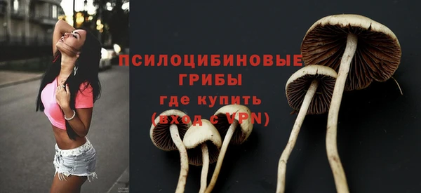 дмт Елабуга