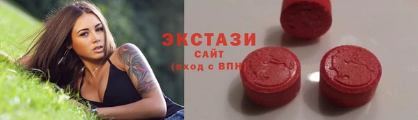 стаф Ельня
