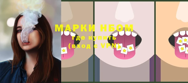 стаф Ельня