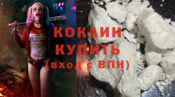 стаф Ельня