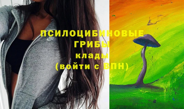 стаф Ельня