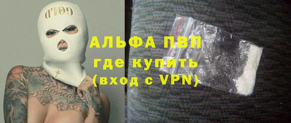 стаф Ельня
