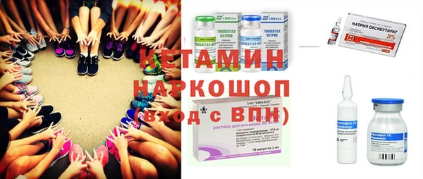 стаф Ельня