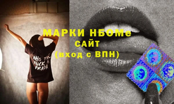 стаф Ельня