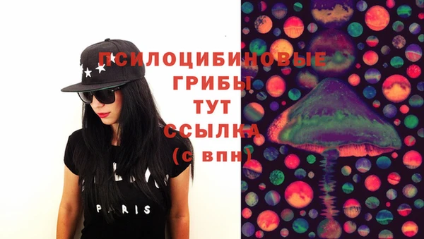 стаф Ельня