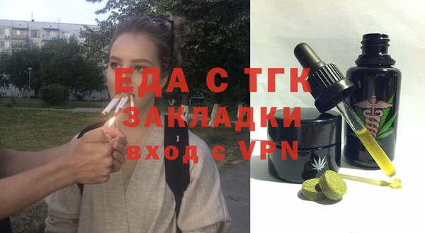 стаф Ельня